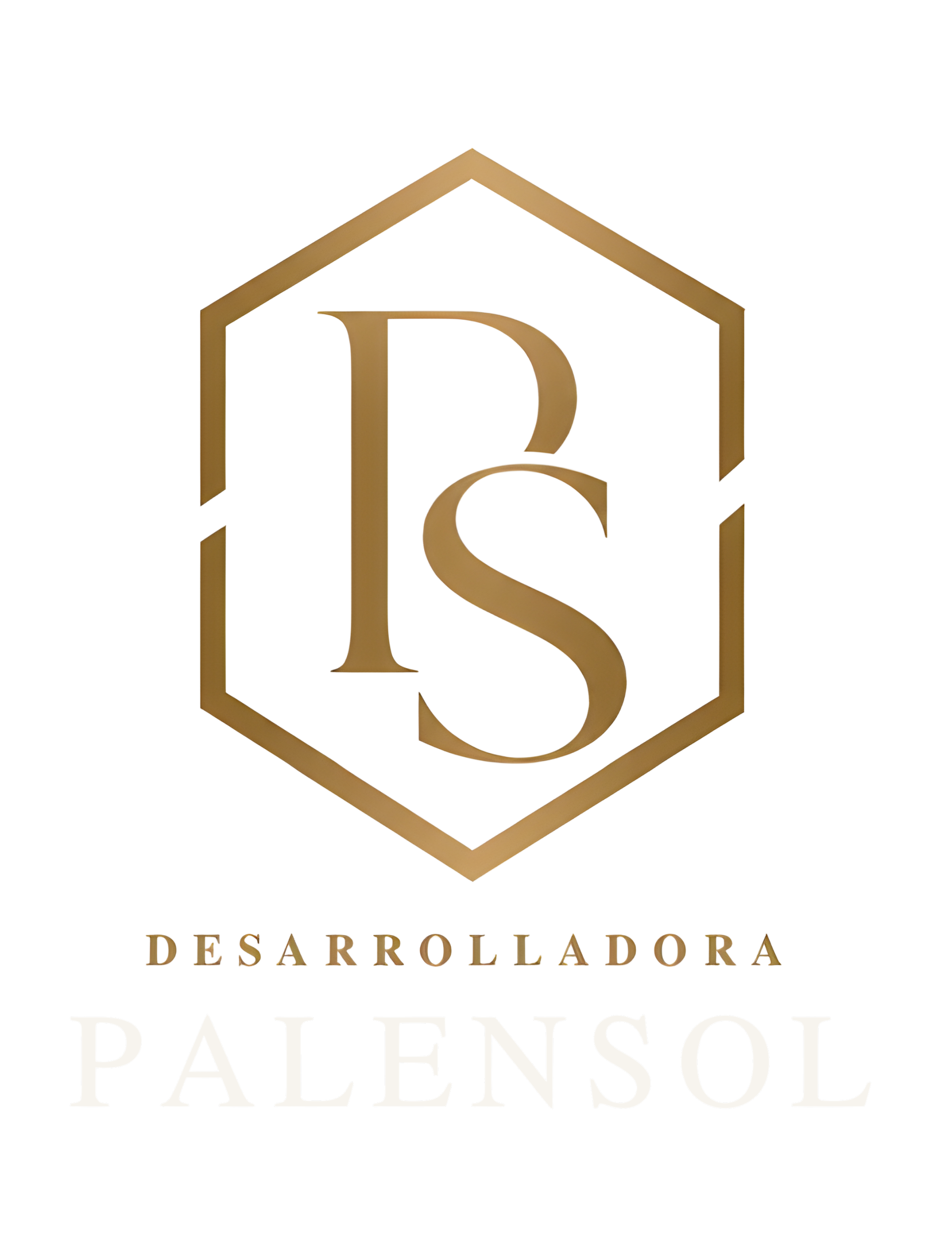 Desarrolladora Palensol